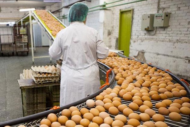 Vollzeit oder Teilzeit